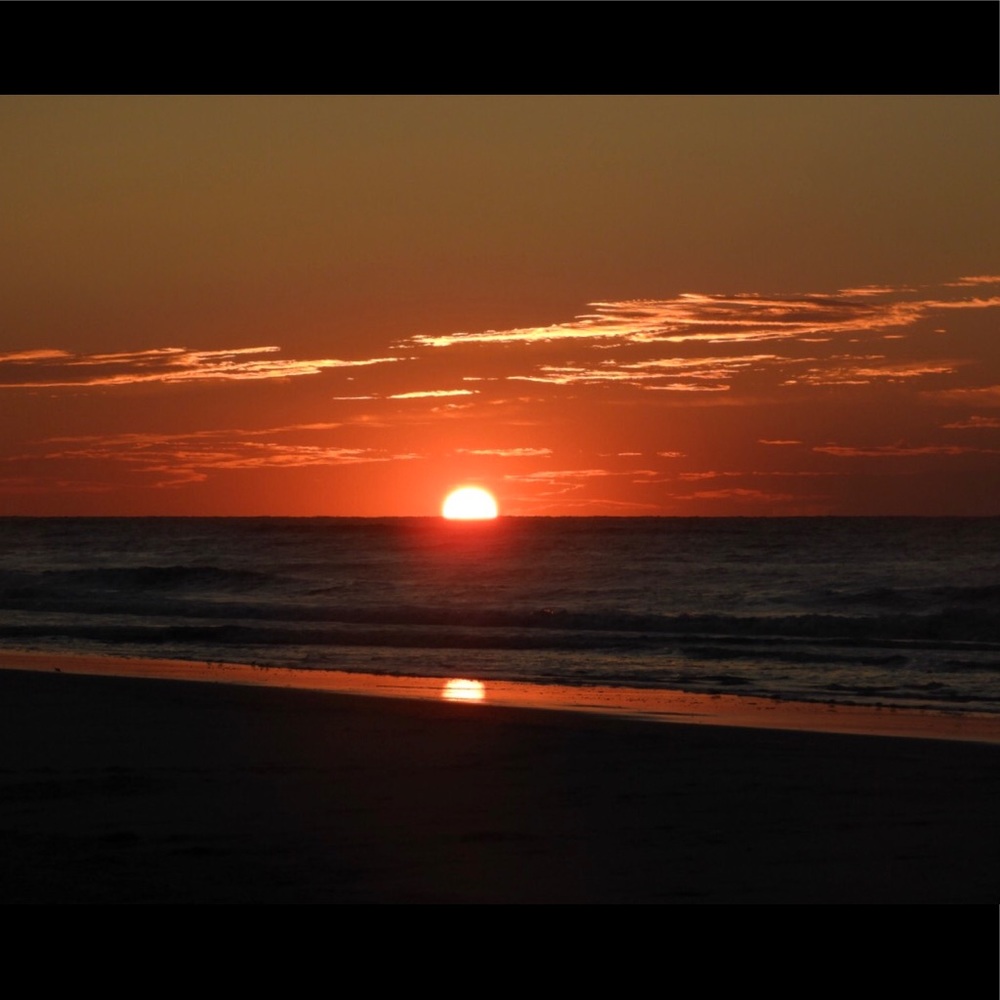 Meet your Posher, Maisie